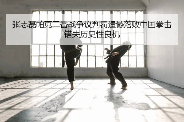 zhang-zhi-lei-pa-ke-er-fan-zhan-zheng-yi-pan-fa-yi-han-luo-bai-zhong-guo-quan-ji-cuo-shi-li-shi-xing-liang-ji-2-169.jpg